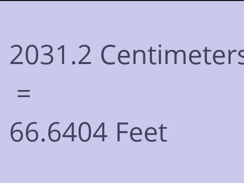 2031.2 CM TO FEET