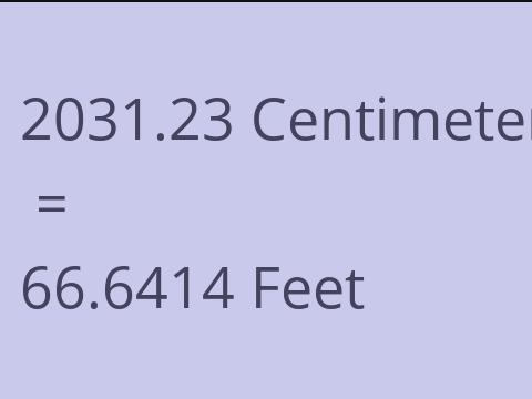 2031.23 CM TO FEET