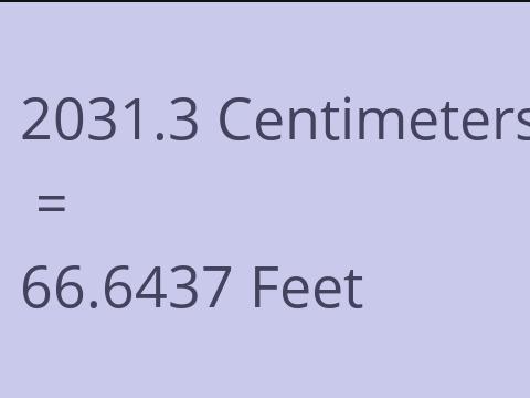 2031.3 CM TO FEET