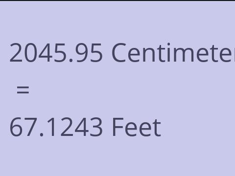 2045.95 CM TO FEET