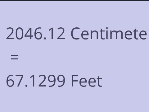 2046.12 CM TO FEET