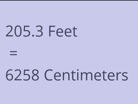 205.3 FEET TO CM