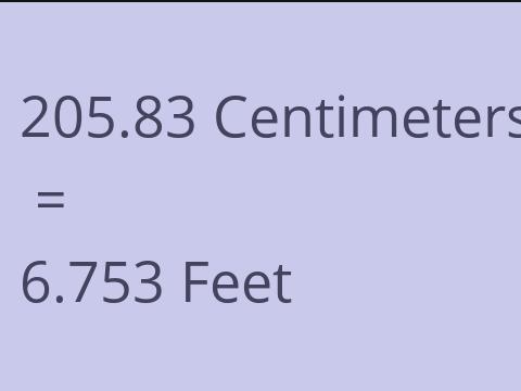 205.83 CM TO FEET