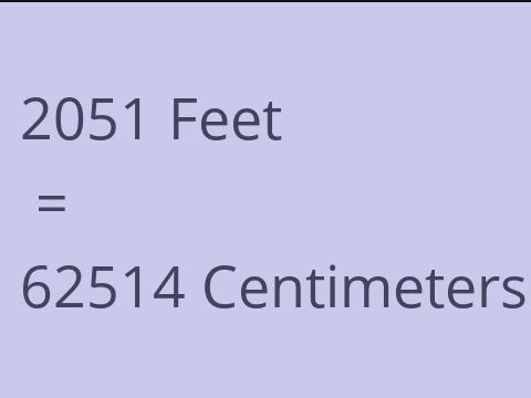 2051 FEET TO CM