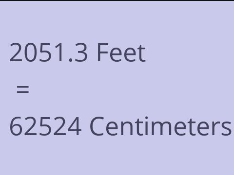 2051.3 FEET TO CM