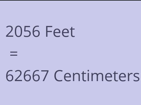 2056 FEET TO CM