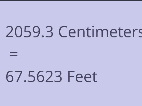 2059.3 CM TO FEET