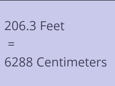 206.3 FEET TO CM