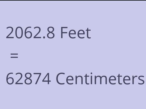 2062.8 FEET TO CM