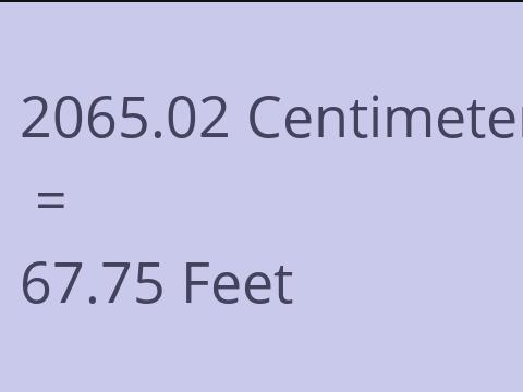 2065.02 CM TO FEET