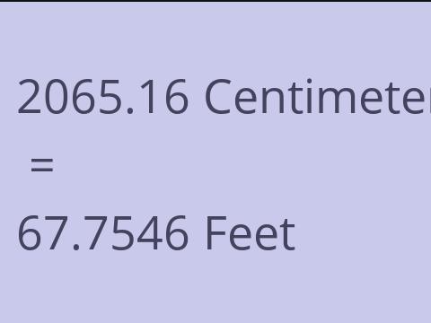 2065.16 CM TO FEET