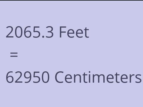 2065.3 FEET TO CM