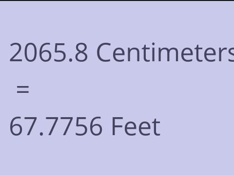 2065.8 CM TO FEET