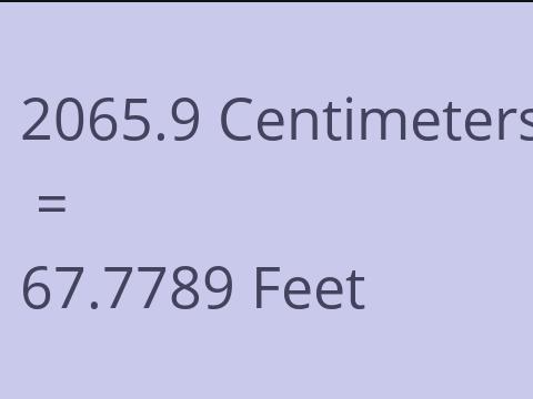 2065.9 CM TO FEET