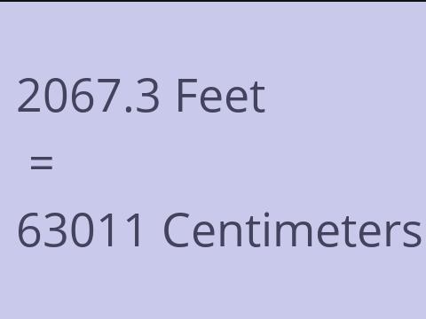 2067.3 FEET TO CM