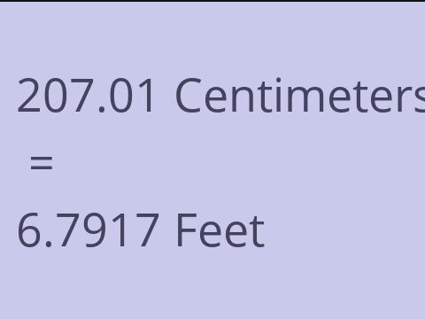 207.01 CM TO FEET