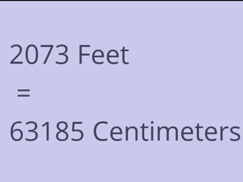 2073 FEET TO CM