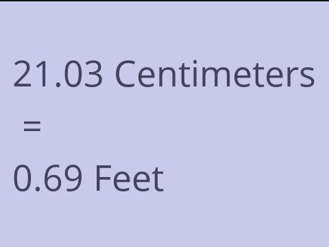 21.03 CM TO FEET