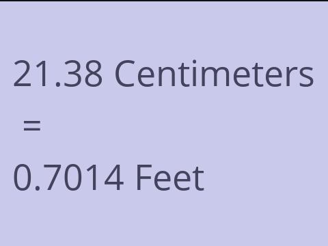 21.38 CM TO FEET