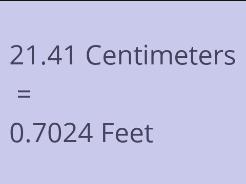 21.41 CM TO FEET