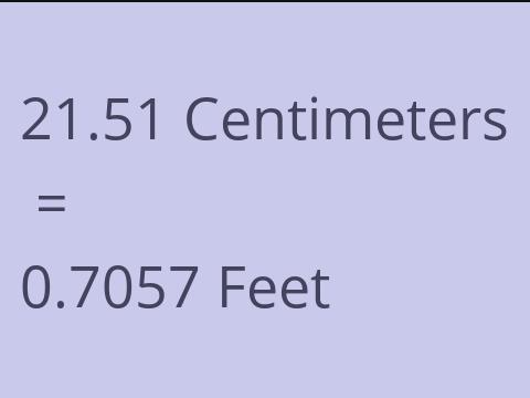 21.51 CM TO FEET