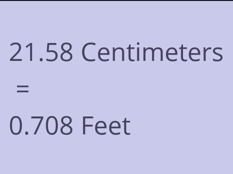 21.58 CM TO FEET