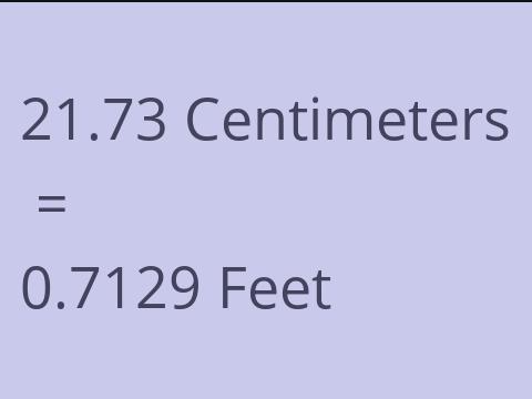 21.73 CM TO FEET