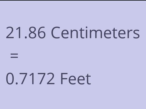 21.86 CM TO FEET