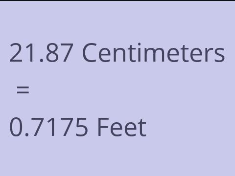 21.87 CM TO FEET