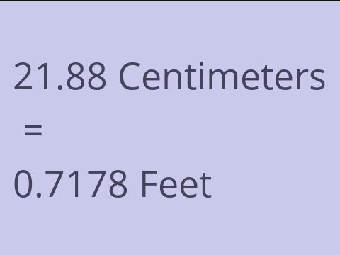 21.88 CM TO FEET