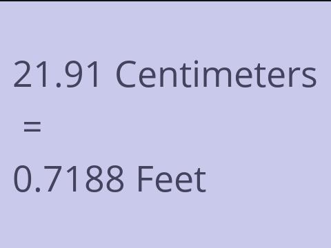 21.91 CM TO FEET