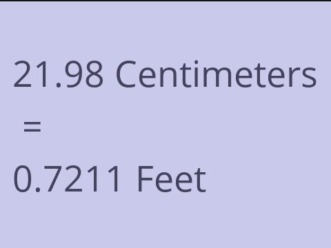 21.98 CM TO FEET