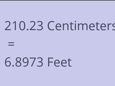 210.23 CM TO FEET