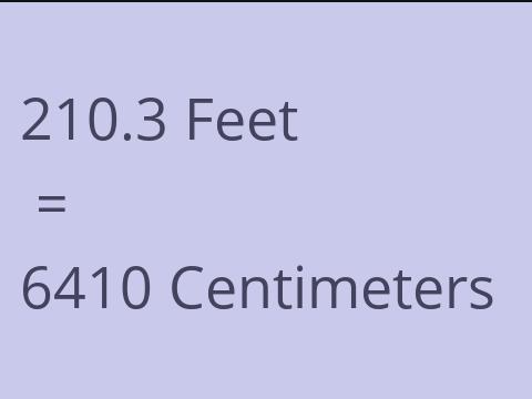 210.3 FEET TO CM