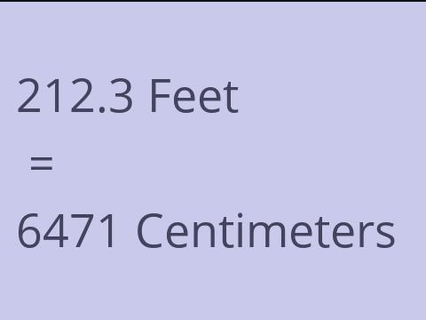 212.3 FEET TO CM