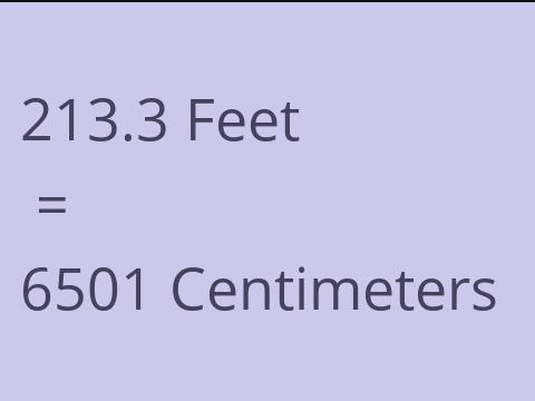 213.3 FEET TO CM