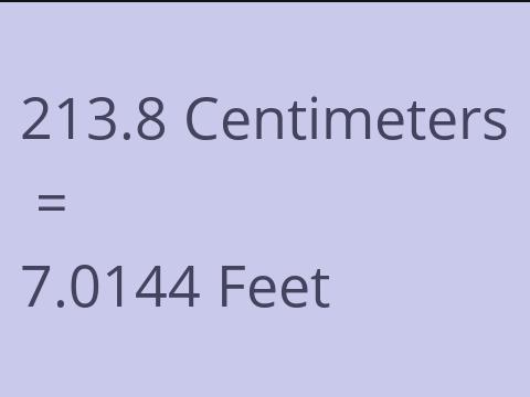 213.8 CM TO FEET