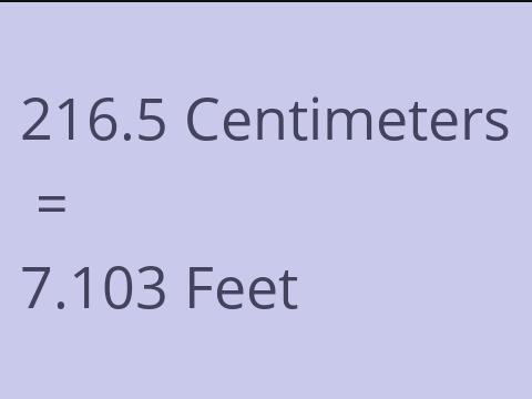 216.5 CM TO FEET