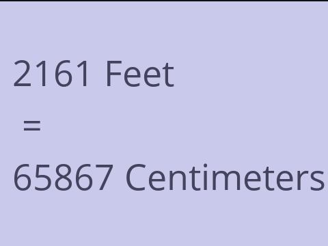 2161 FEET TO CM