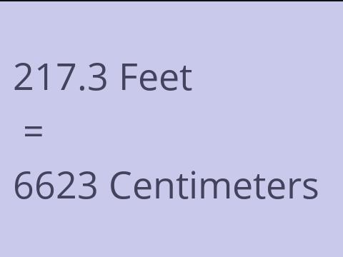 217.3 FEET TO CM