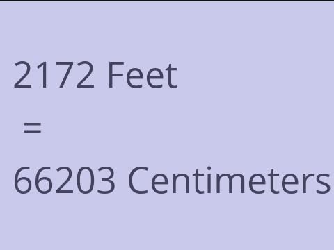 2172 FEET TO CM