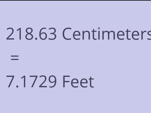 218.63 CM TO FEET