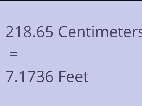 218.65 CM TO FEET