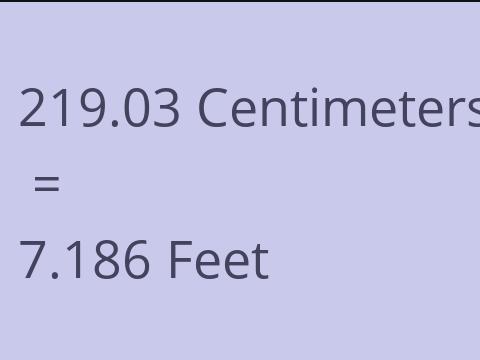 219.03 CM TO FEET