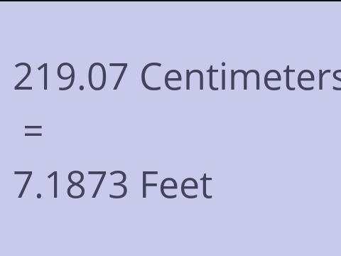 219.07 CM TO FEET