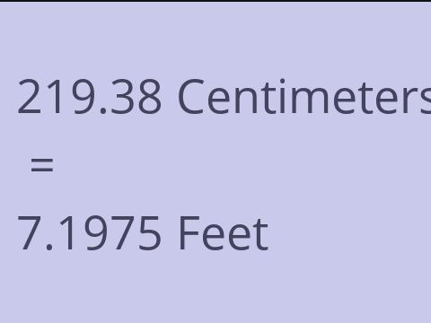 219.38 CM TO FEET