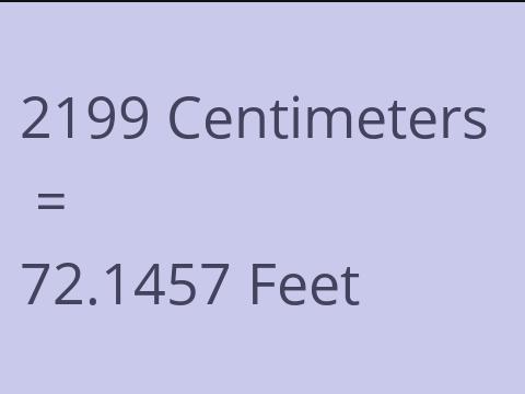 2199 CM TO FEET