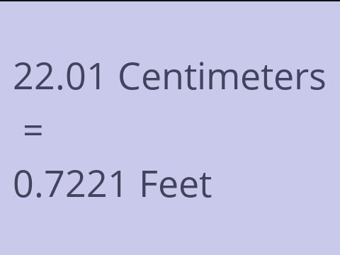 22.01 CM TO FEET