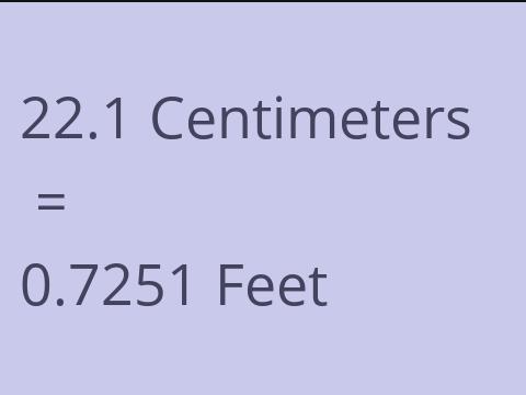 22.1 CM TO FEET