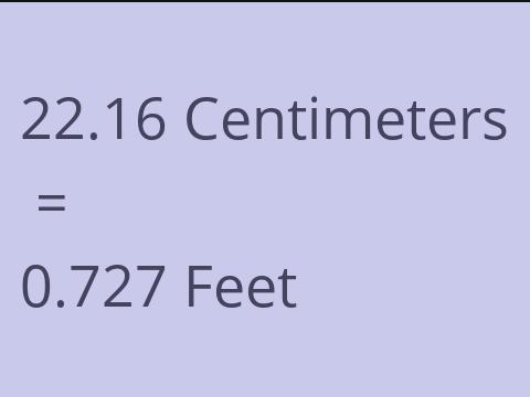 22.16 CM TO FEET